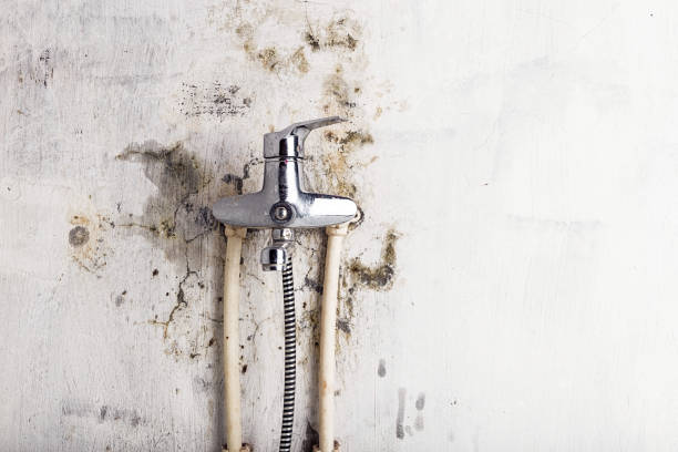 Trusted Turpin Hills, OH Mold Removal Experts